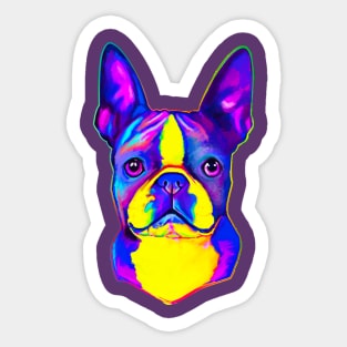 Boston Terrier in Colors Sticker